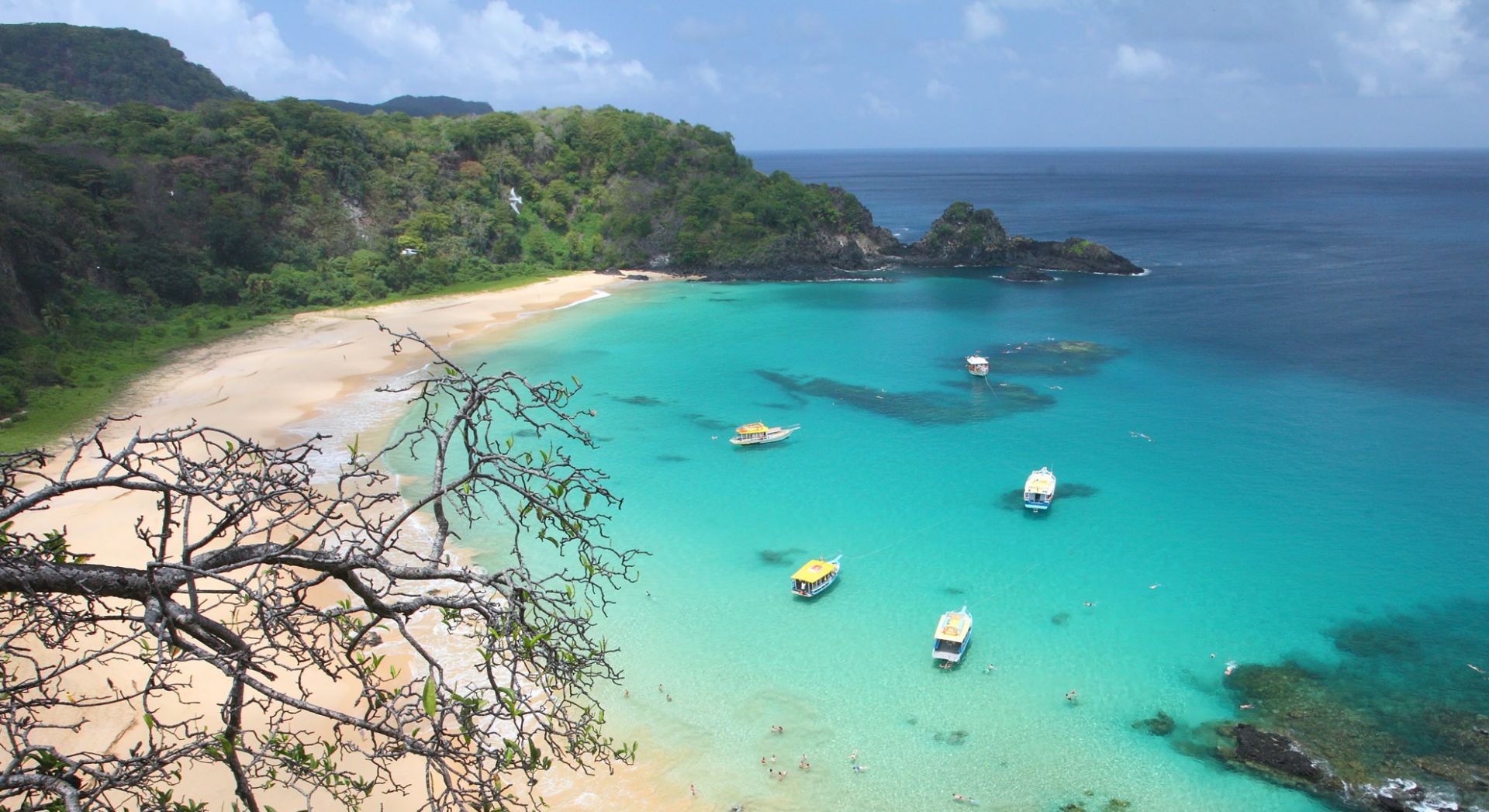 Bahía de Golfinhos, Fernando de Noronha