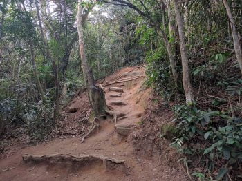 brasil-rio-de-janeiro-dois-irmaos-trail-4