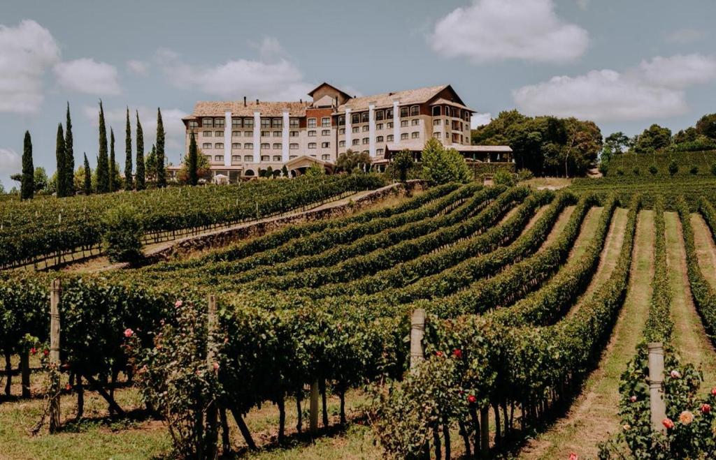 Bodegas en brasil