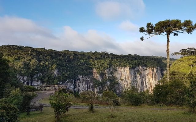 Camping, Biomas y Vida Silvestre en cañon Itaimbezinho