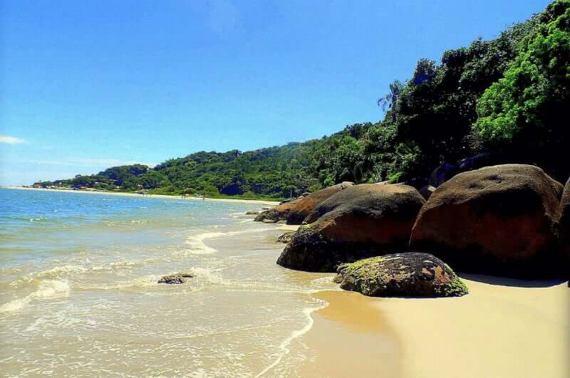 Praia da Daniela em Florianópolis - 2021 | Dicas incríveis!