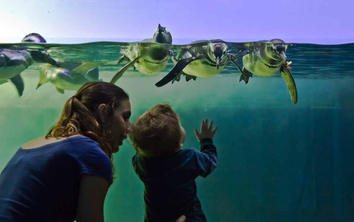 Acuario de Ubatuba