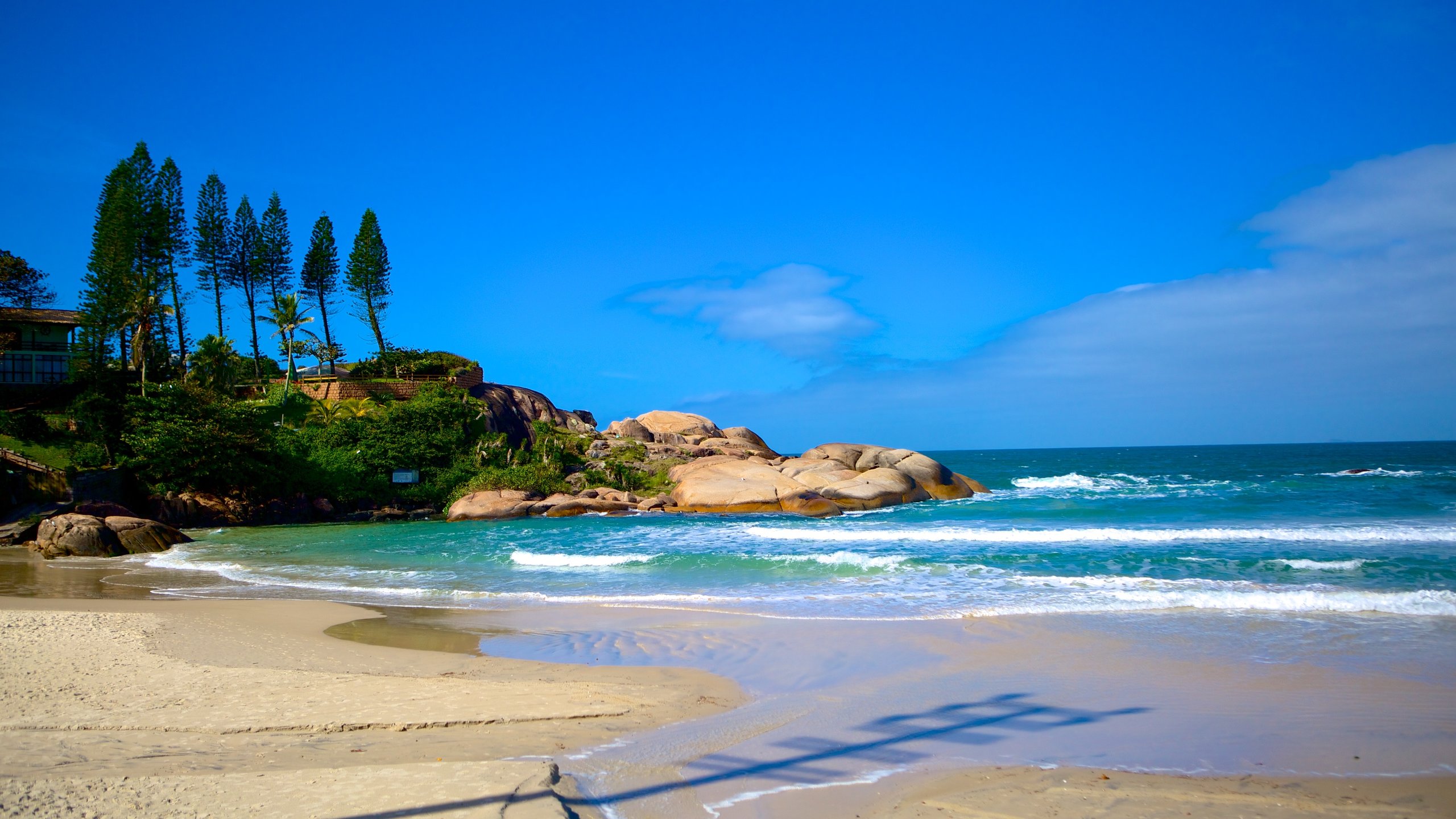 Playa Joaquina en Florianópolis | Expedia