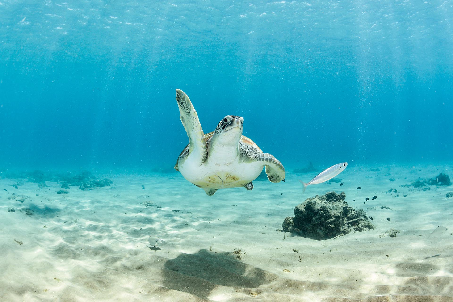 ¡Escapa del frío! Descubre los 10 mejores destinos para disfrutar del invierno en Brasil en 2023