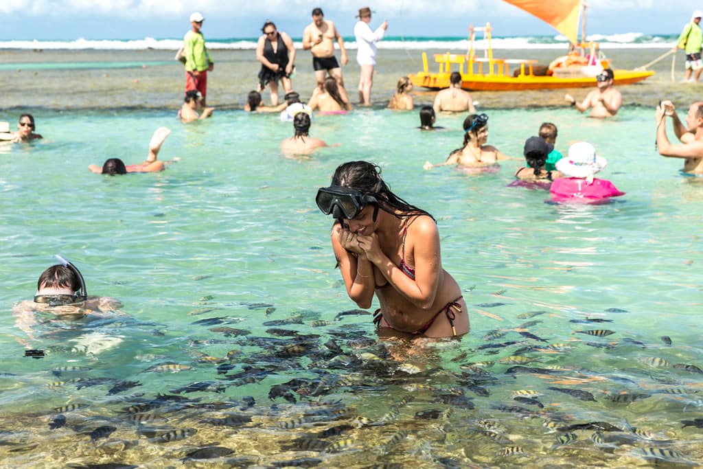 Descubre los Destinos Más Deslumbrantes de Brasil para Visitar en Noviembre